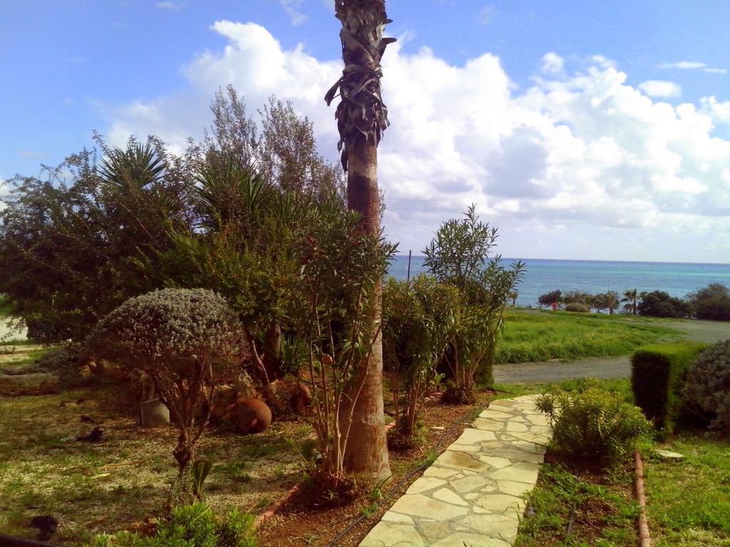 Yialos Apartments Pissouri Room photo